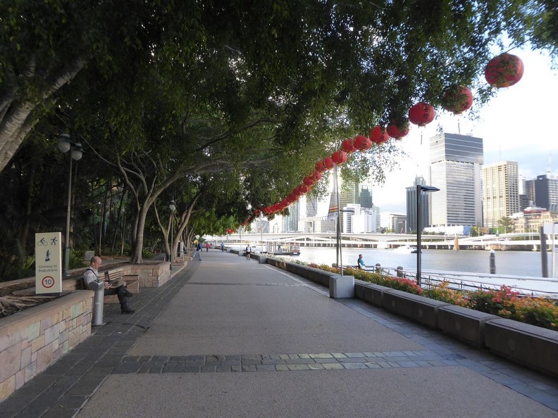 brisbane city 2015 008