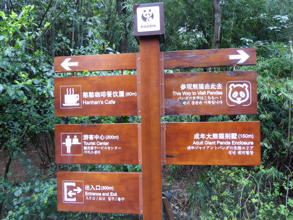 chengdu panda research 106