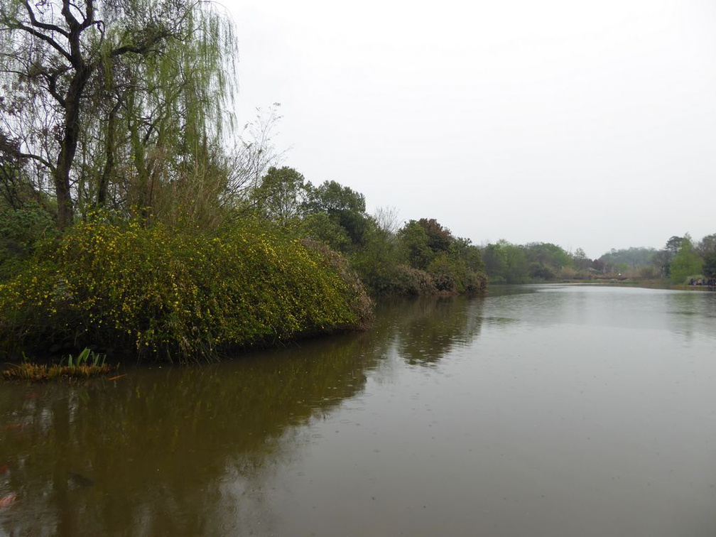 chengdu panda research 108