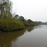 chengdu_panda_research_108.jpg