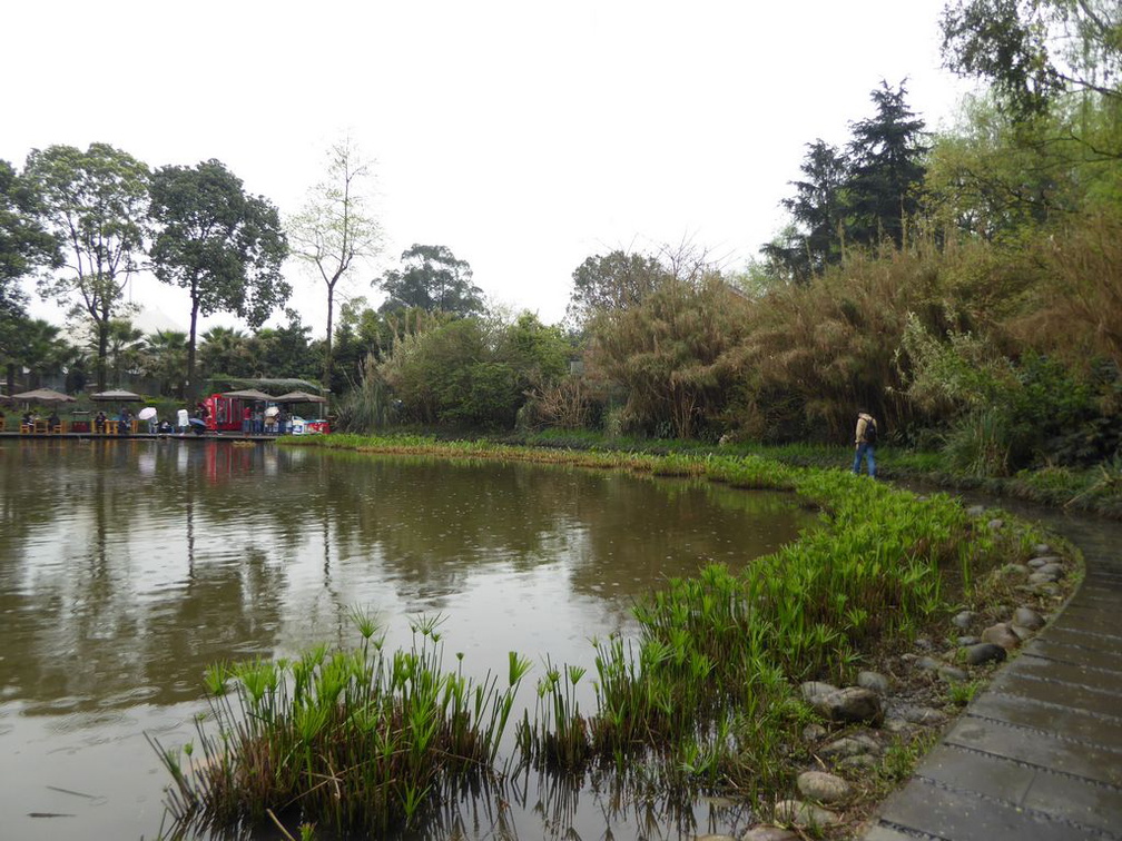 chengdu panda research 109