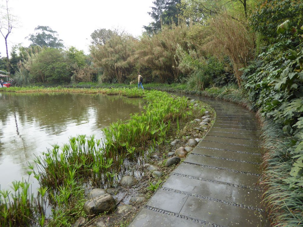chengdu panda research 110