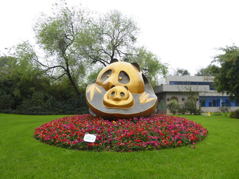 chengdu panda research 115