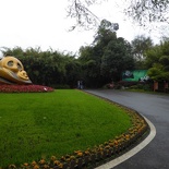 chengdu panda research 116