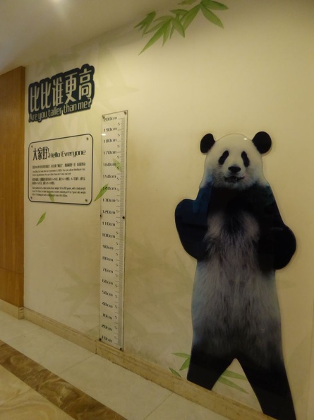 chengdu_panda_research_118.jpg