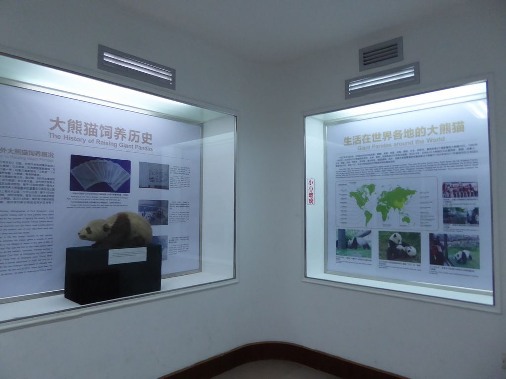 chengdu panda research 120