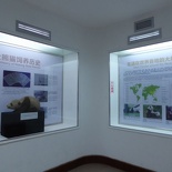 chengdu_panda_research_120.jpg