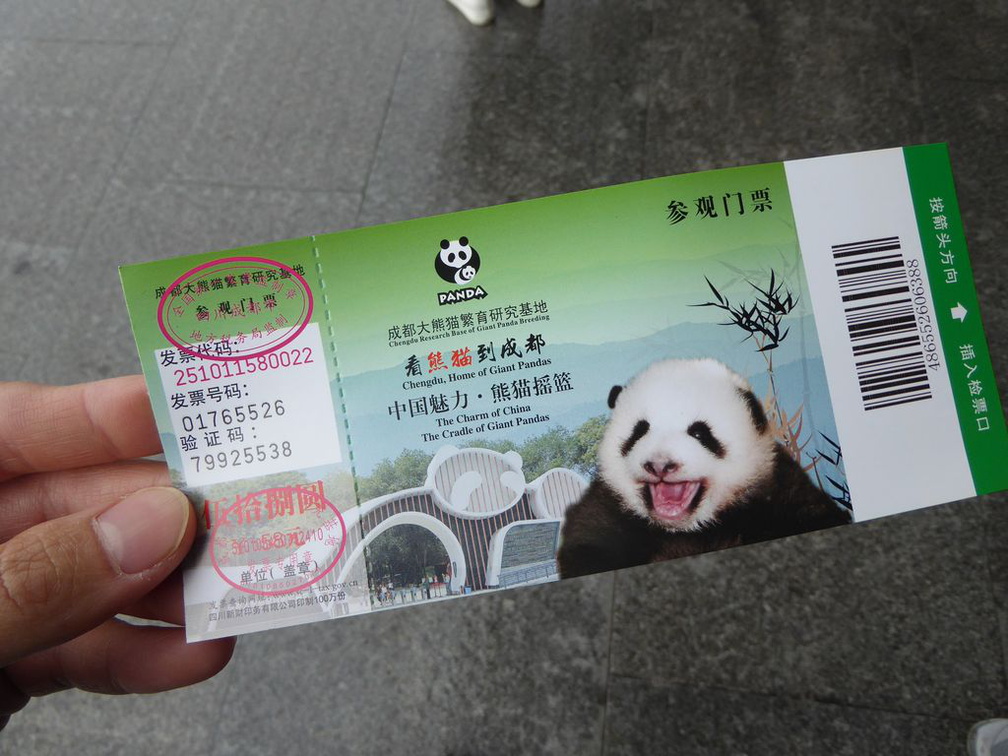 chengdu panda research 002