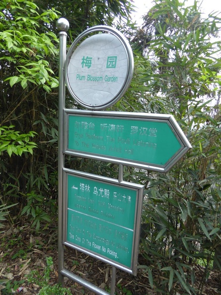 leshan buddha 046