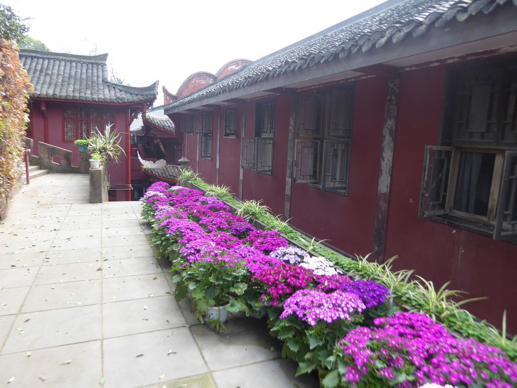 leshan buddha 050