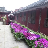 leshan buddha 050