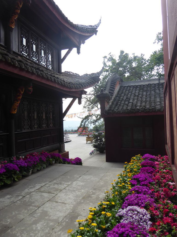 leshan buddha 051