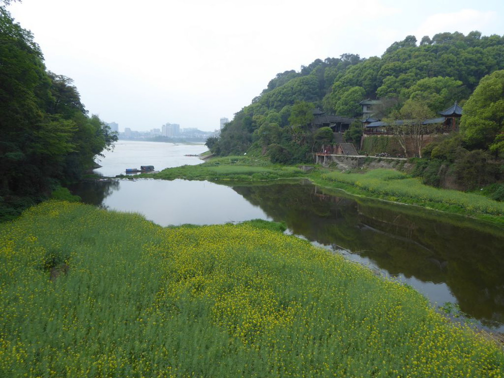 leshan buddha 056