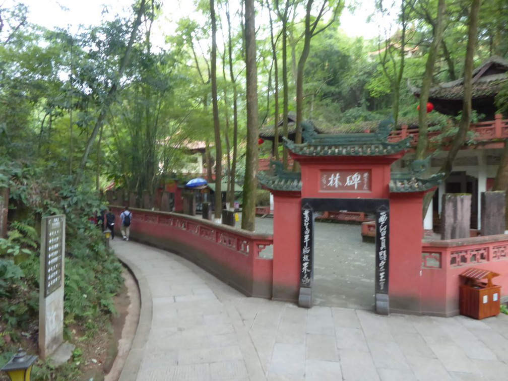 leshan buddha 063