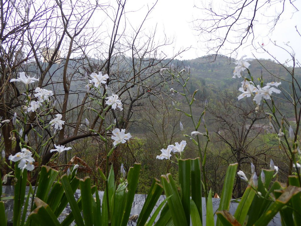 fengdu ghost city 100