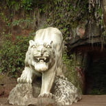 leshan buddha 075