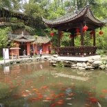 leshan buddha 119