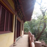 leshan buddha 131