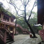 leshan buddha 135