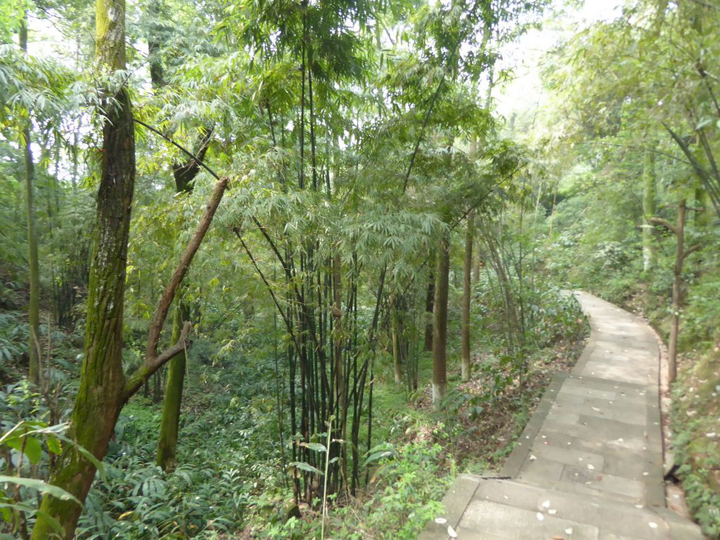 leshan buddha 137