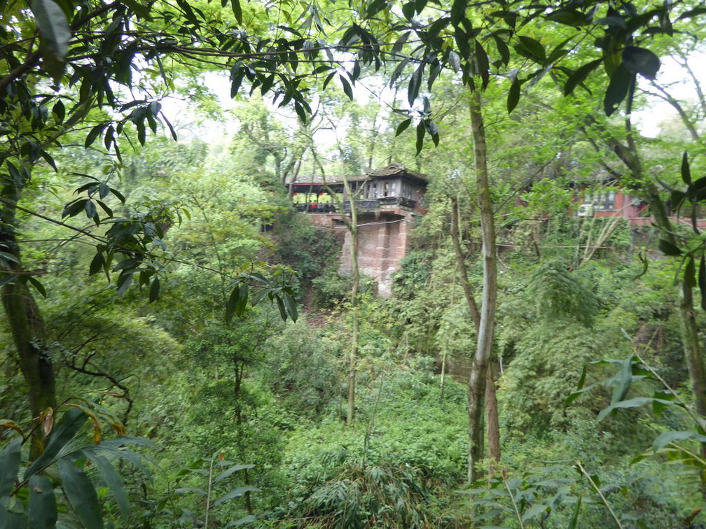 leshan buddha 139