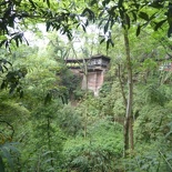 leshan buddha 139