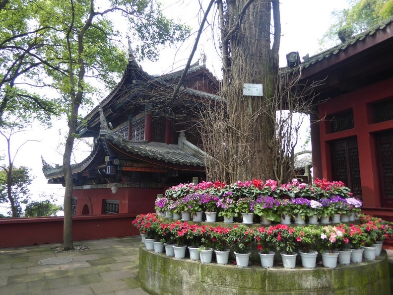 leshan buddha 164