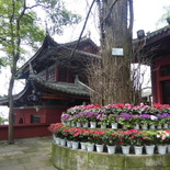 leshan buddha 164