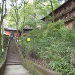 leshan buddha 209