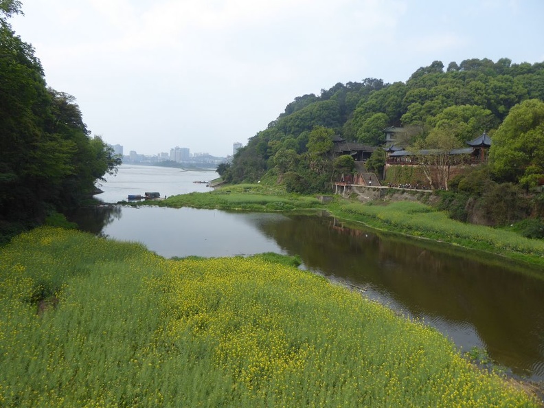 leshan buddha 010