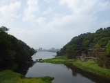 leshan buddha 009