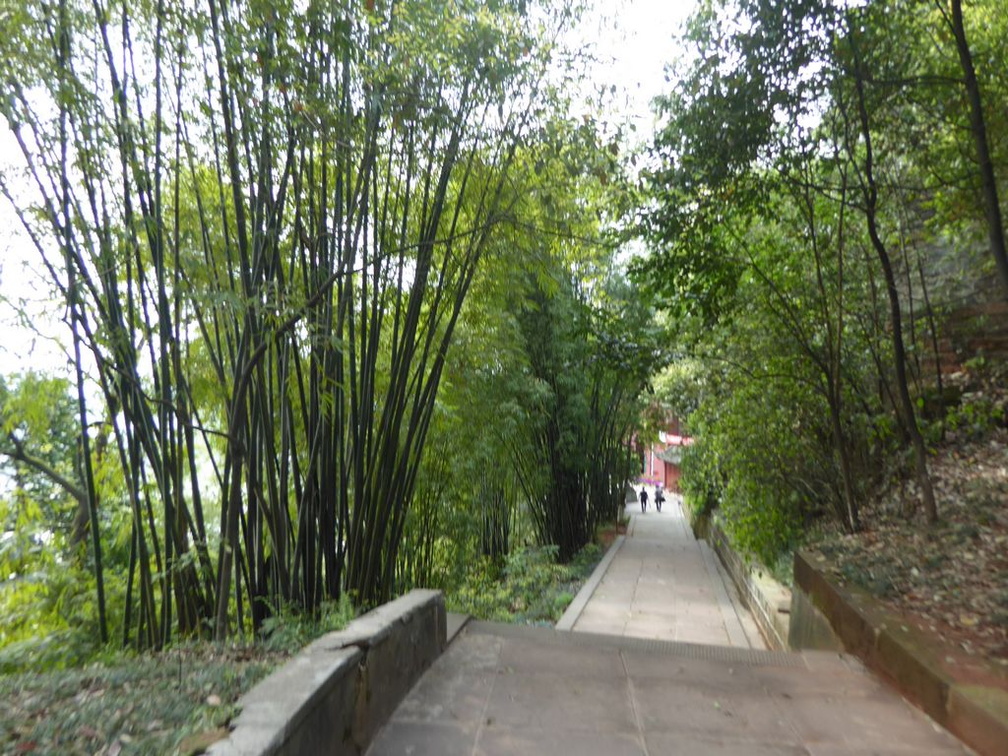 leshan buddha 022