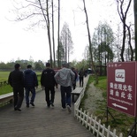 mt qingcheng 010