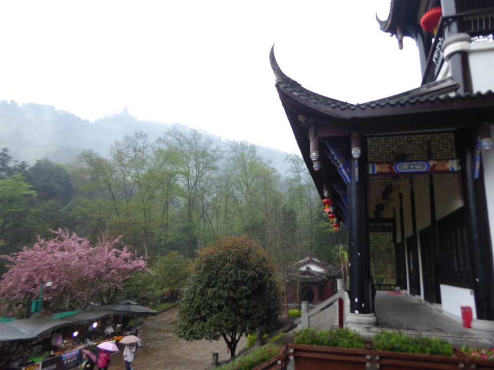 mt qingcheng 059