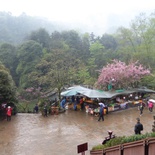 mt qingcheng 058