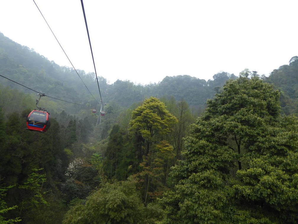 mt qingcheng 064