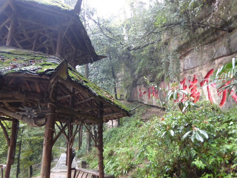 mt_qingcheng_090.jpg