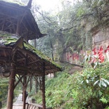 mt qingcheng 090