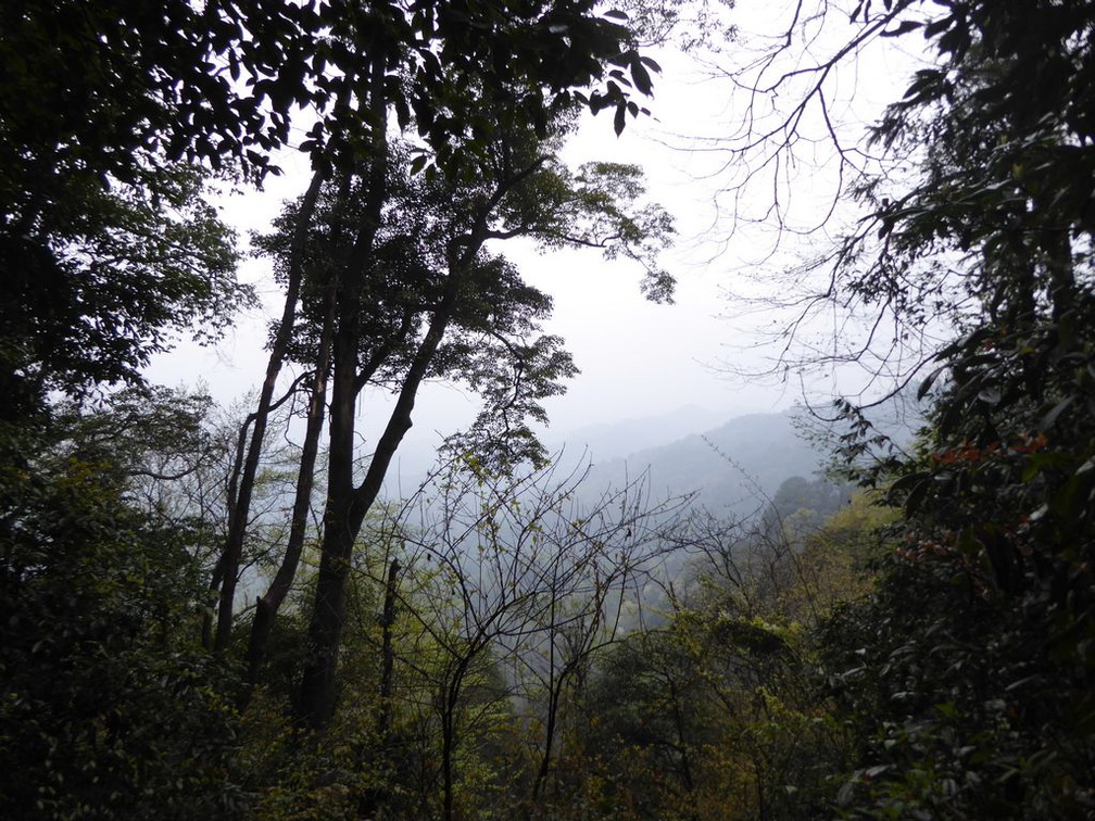 mt qingcheng 096