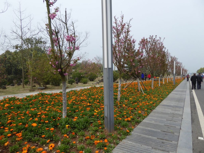 three gorges dam 068