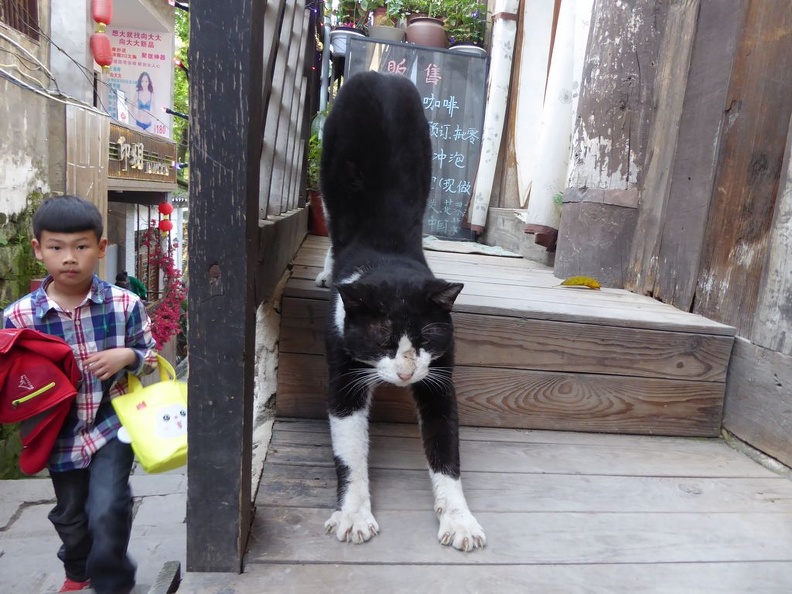 cizikou market 090