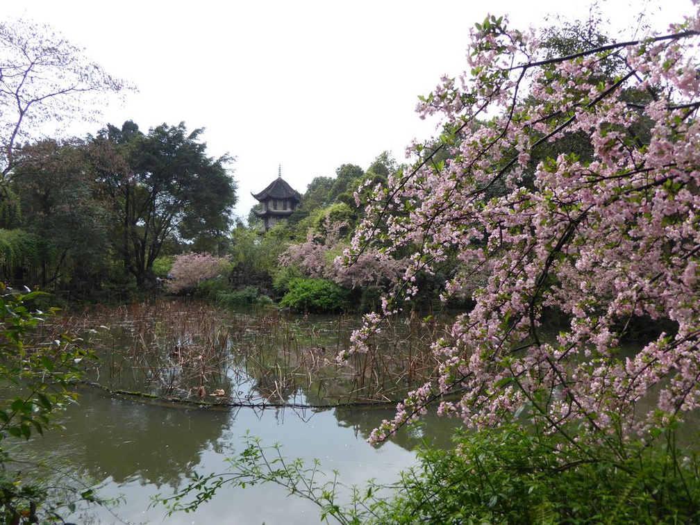 dufu cottage chengdu 009