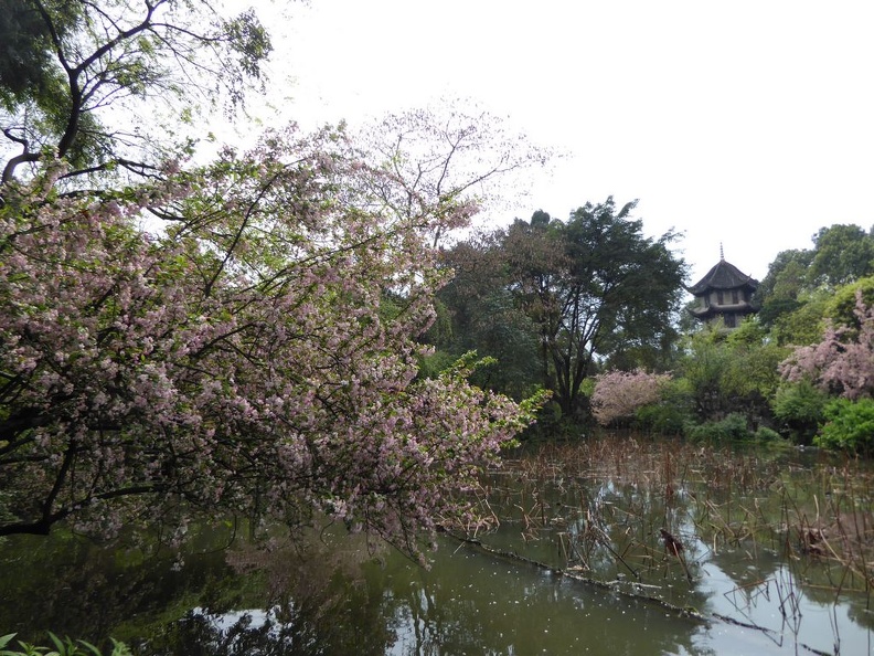 dufu cottage chengdu 011