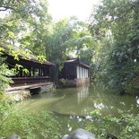 dufu cottage chengdu 036