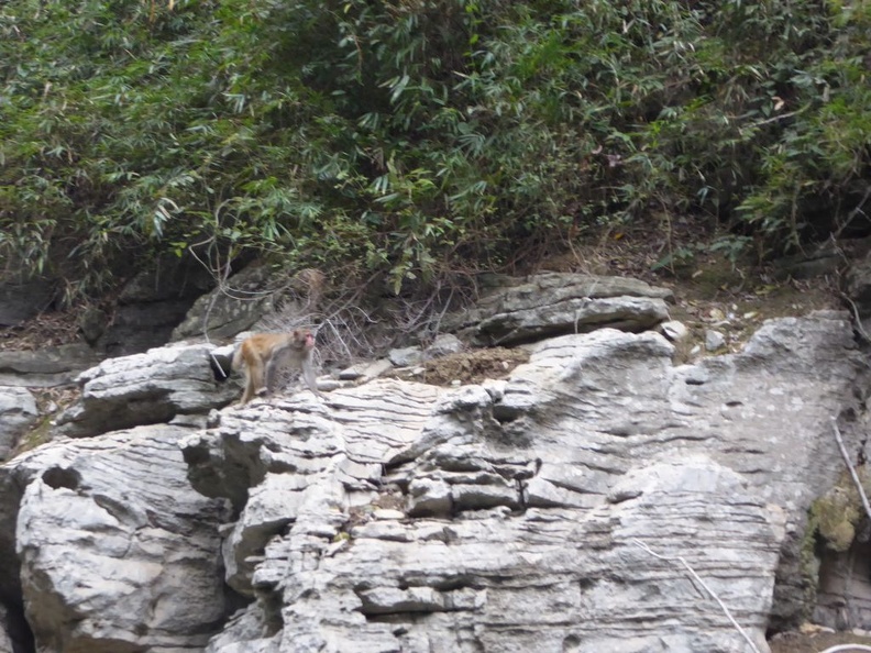 yangtze three gorges 043