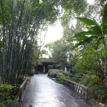 dufu cottage chengdu 126