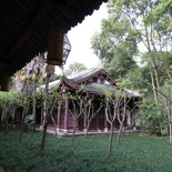 dufu cottage chengdu 131