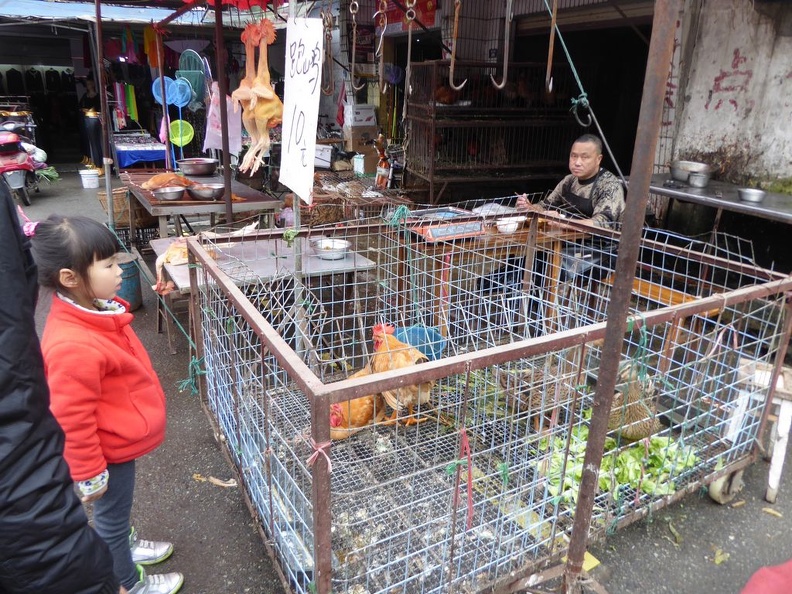 chengdu _china_city_081.jpg