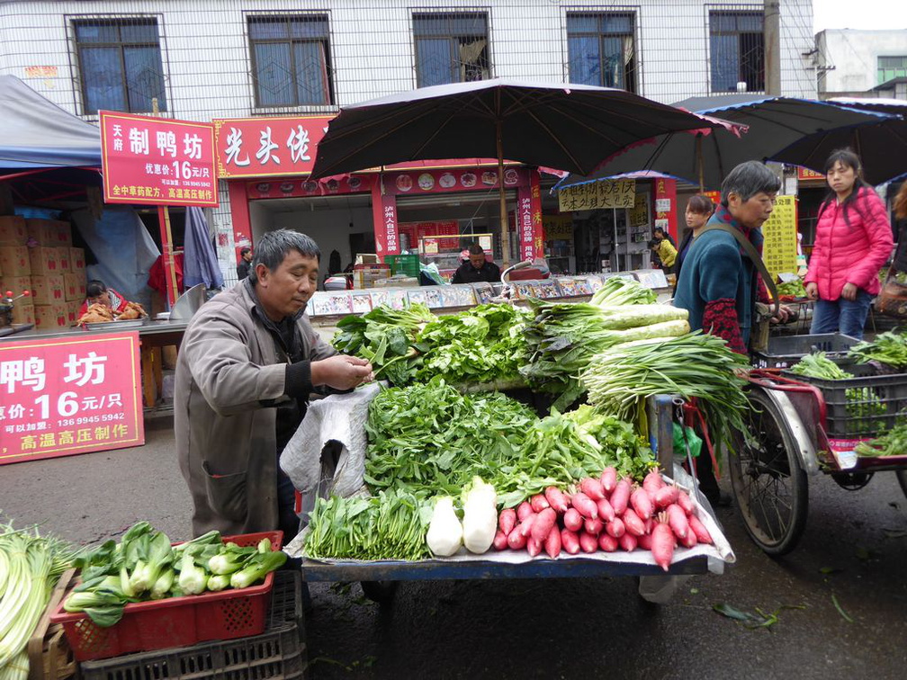 chengdu  china city 084