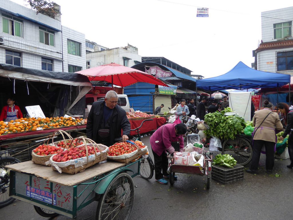 chengdu  china city 083